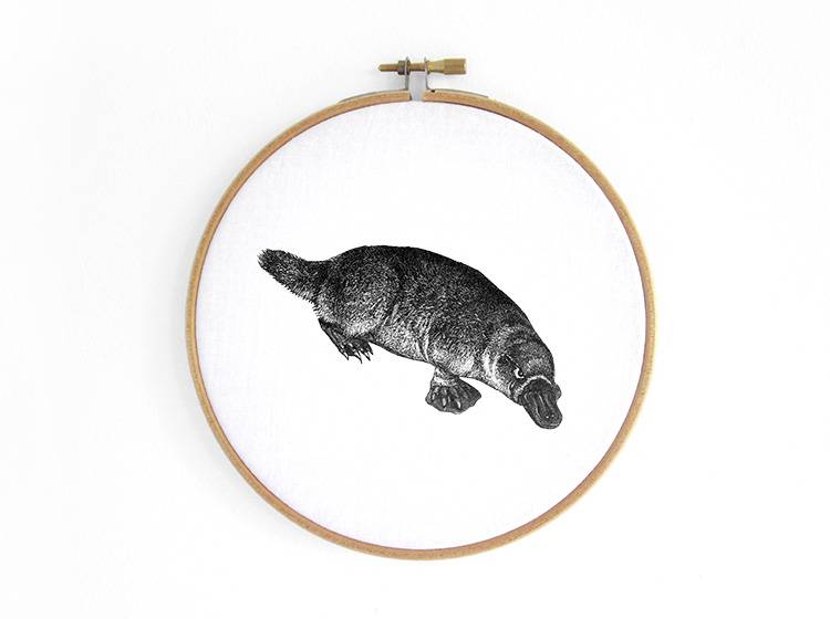 Renna Deluxe Schnabeltier_ Bild im Stickrahmen