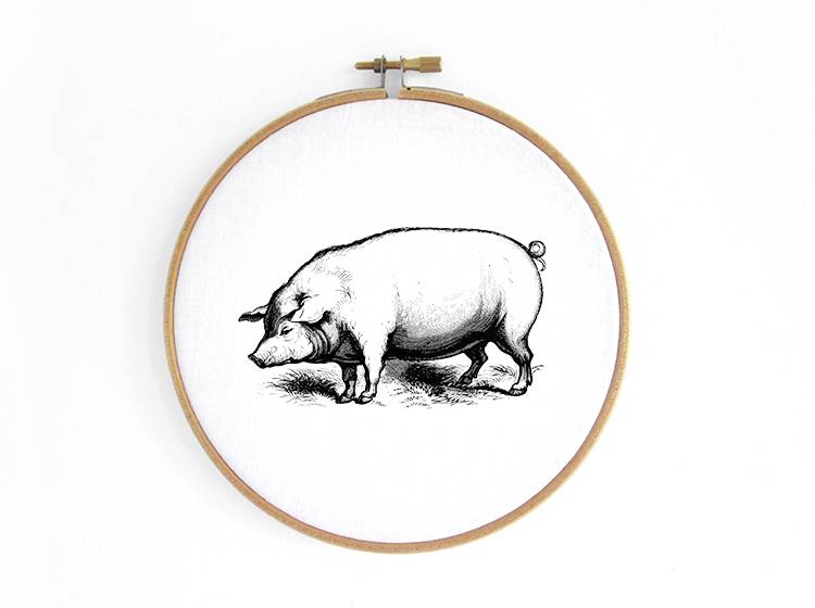 Renna Deluxe Schwein _ Bild im Stickrahmen