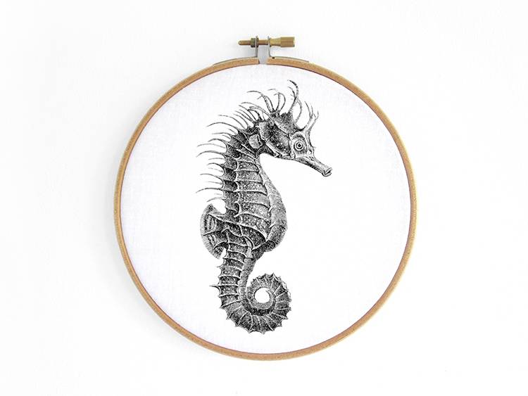 Renna Deluxe Seepferdchen _ Bild im Stickrahmen