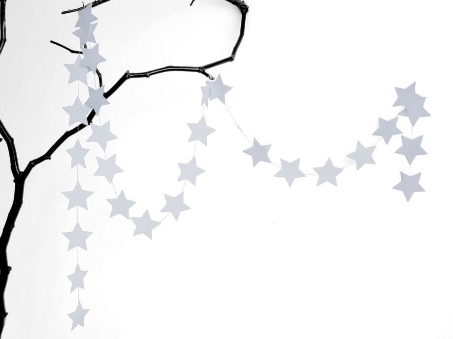 Renna Deluxe STERN Girlande In SILBER