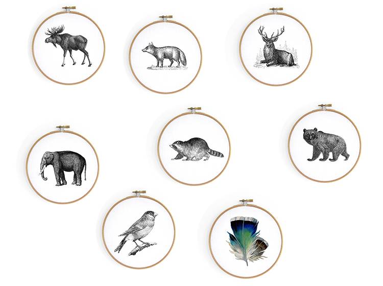 Renna Deluxe Waschbär _ Bild Im Stickrahmen