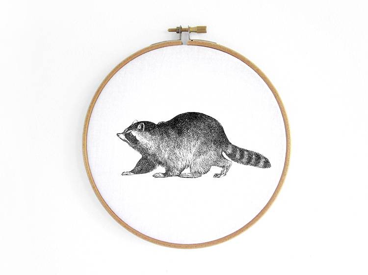 Renna Deluxe Waschbär _ Bild im Stickrahmen