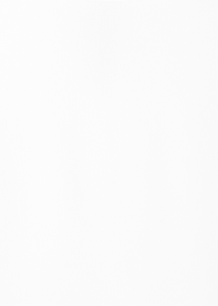 Riani BLUSE AUS SILKY CRÊPE