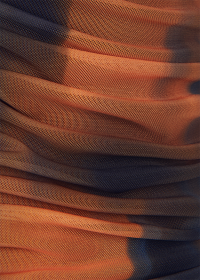 Riani SHIRT IN SHADOW PRINT TULLE