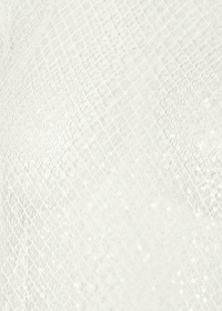 Riani TRANSPARENTE BLUSE MIT STEHKRAGEN