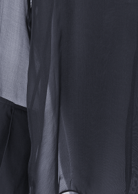 Riani TRANSPARENTE CHIFFONBLUSE