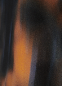 Riani VISKOSEBLUSE MIT SHADOW PRINT