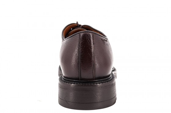 Riccardo Cartillone Alexander Hotto 66024 710