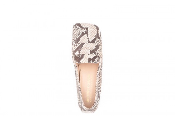 Riccardo Cartillone Antonio Barbato MJ998 Roccia