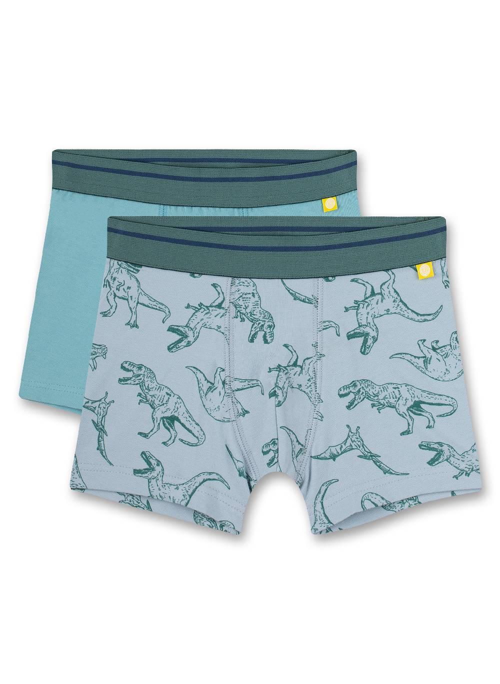 Sanetta Jungen-Hipshorts (Doppelpack) Blau