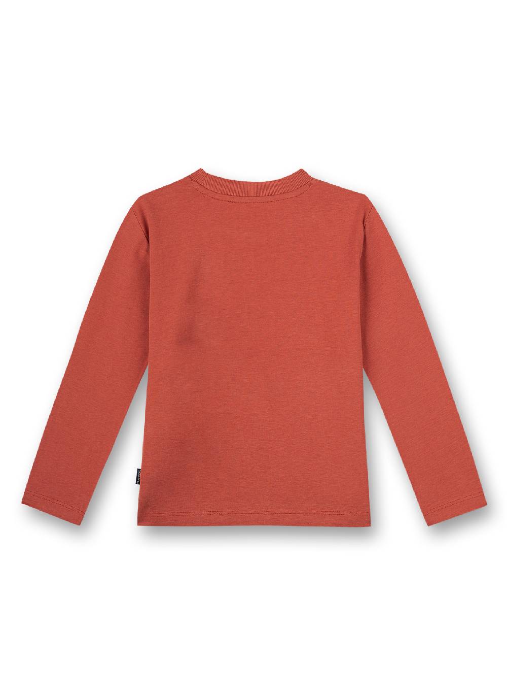 Sanetta Jungen-Shirt Langarm Rot Ice Hockey