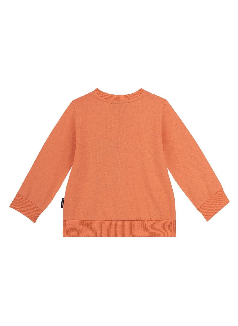 Sanetta Jungen-Sweatjacke Orange Green Friends