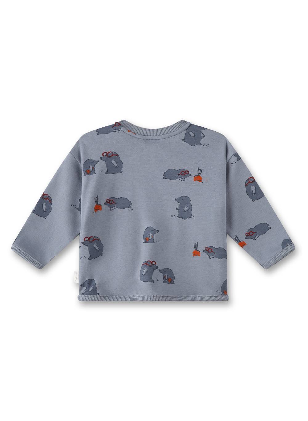 Sanetta Jungen-Sweatshirt Grau