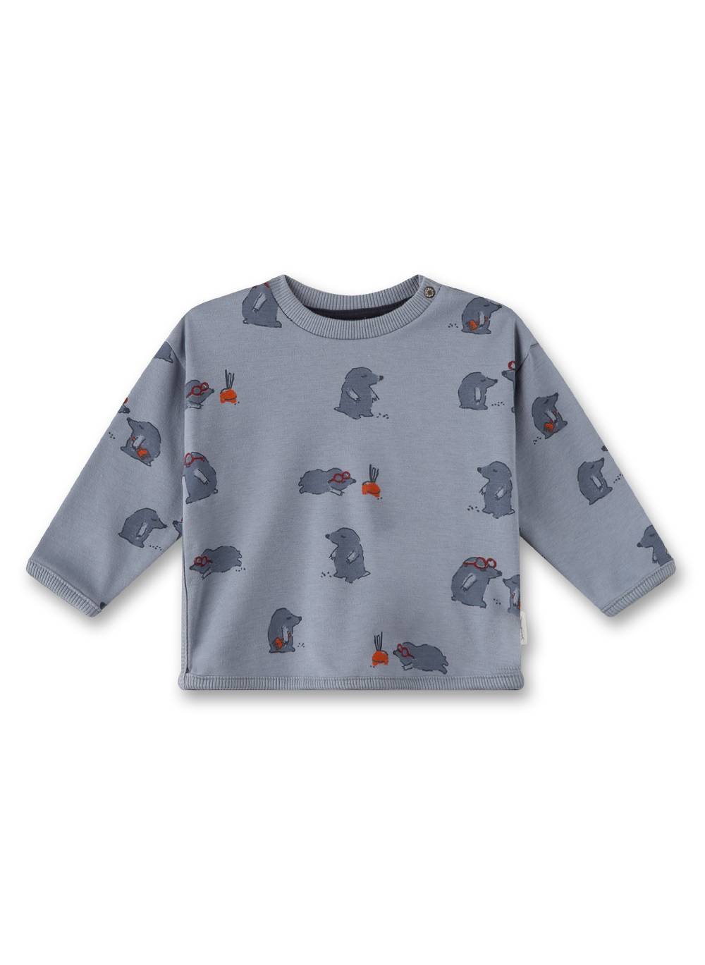 Sanetta Jungen-Sweatshirt Grau