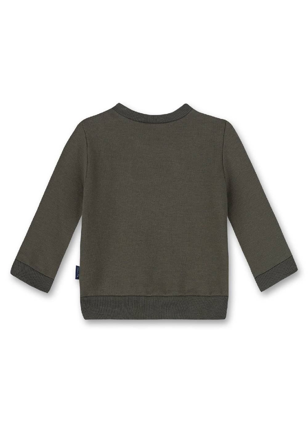 Sanetta Jungen-Sweatshirt Grün Let's Fly