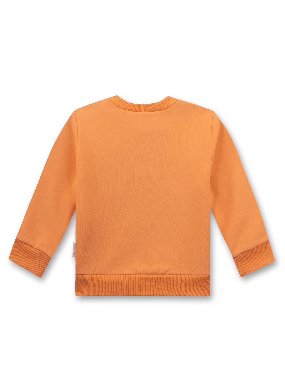 Sanetta Jungen-Sweatshirt Orange