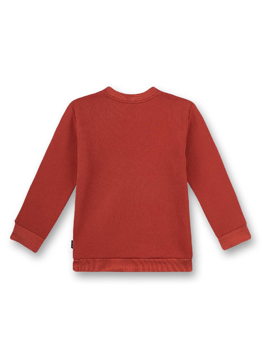 Sanetta Jungen-Sweatshirt Rot Ice Hockey
