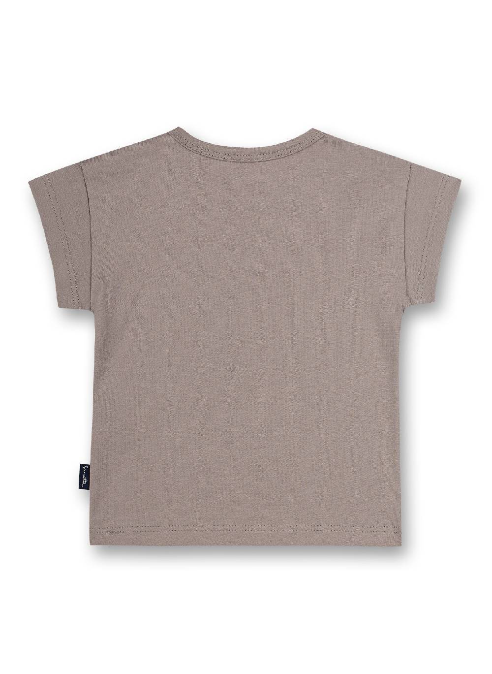 Sanetta Jungen T-Shirt Grau Dino