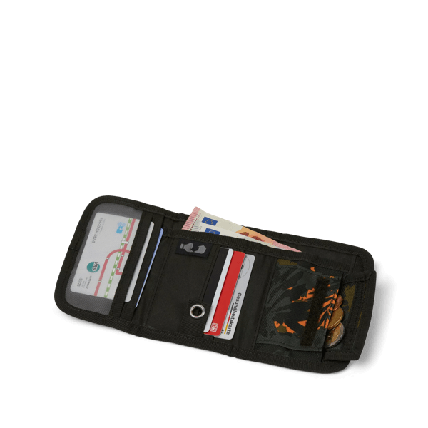 Satch Jurassic Jungle