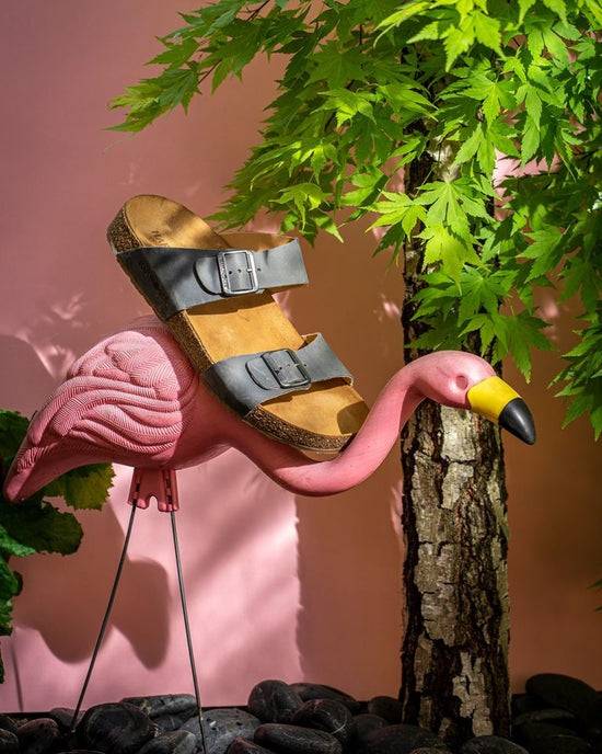 Schuhwerk Schwangau Haflinger Bio Andrea (Unisex)