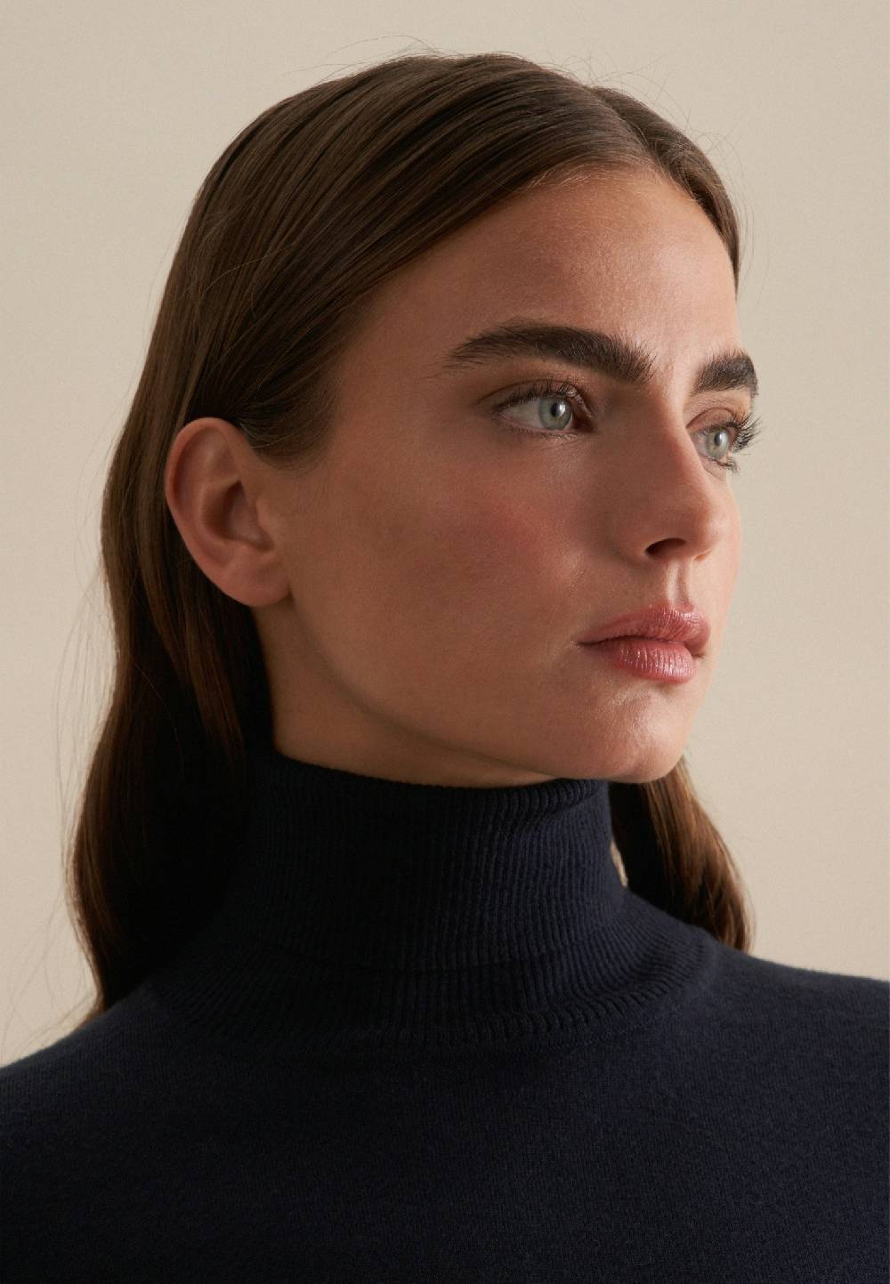 Seidensticker Rollkragen Pullover Regular