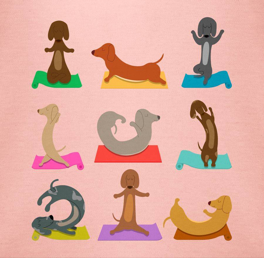 Shirtracer Dackel Yoga Dackel Lustig Shirts & Mehr Shirtracer