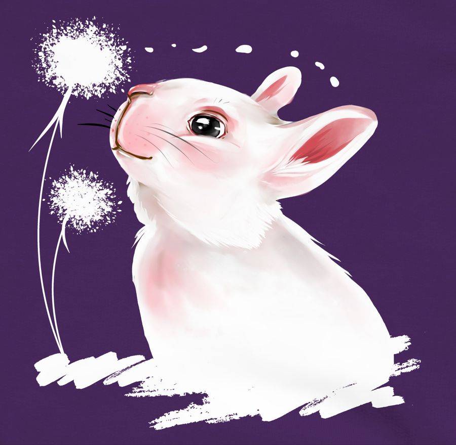 Shirtracer Hase Mit Pusteblume: T-Shirt Turnbeutel Shirtracer