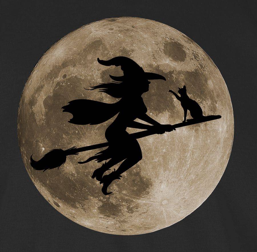Shirtracer Hexe Halloween Hexen Auf Besen Vollmond Katze Witch Mond Shirts & Mehr Shirtracer