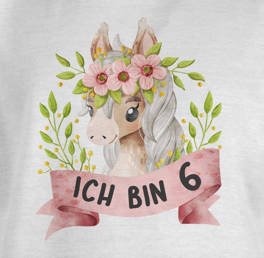 Shirtracer Ich Bin Sechs I Pferdemotiv Pferd Shirts & Mehr Shirtracer