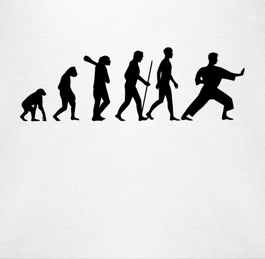 Shirtracer Kampfsport Evolution: Tshirt Rucksack Shirtracer