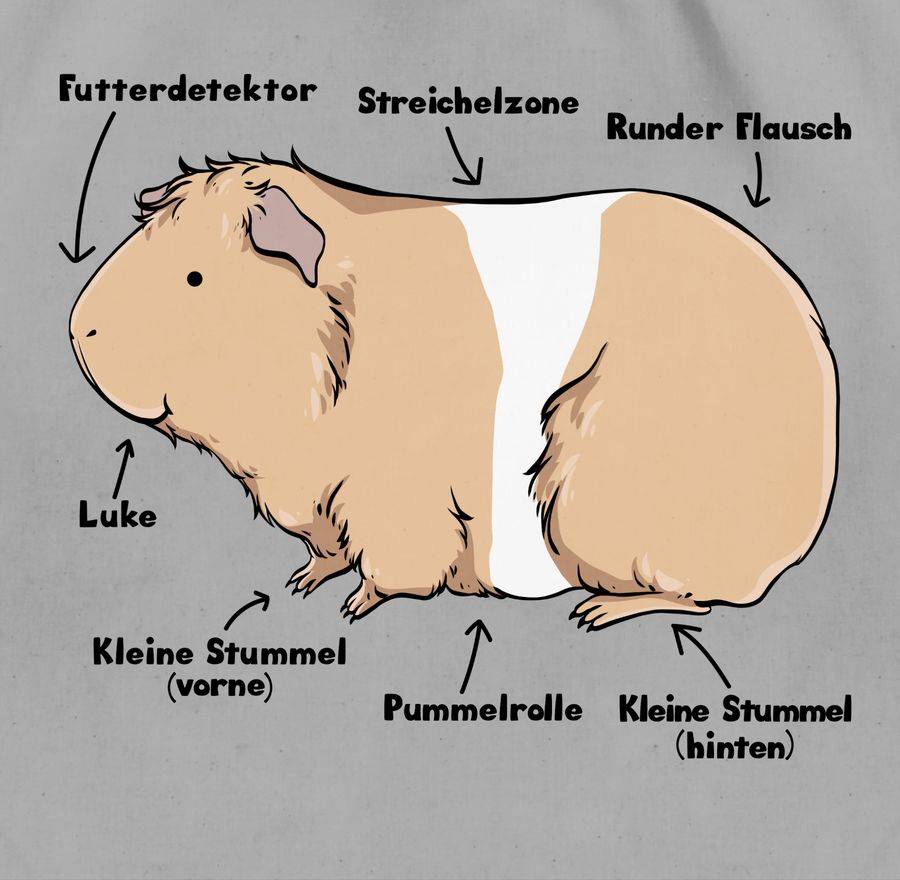 Shirtracer Meerschwein Anatomie: Tshirt Turnbeutel Shirtracer