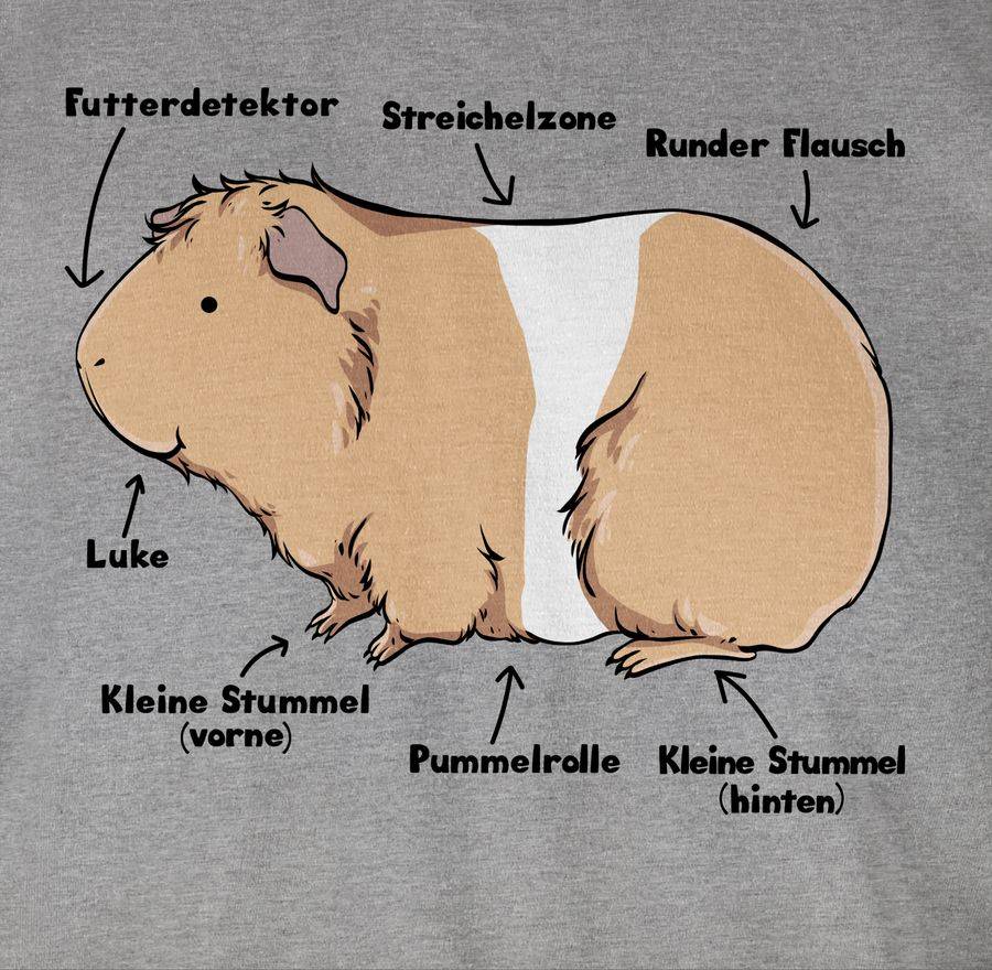 Shirtracer Meerschwein Anatomie: Tshirt Turnbeutel Shirtracer