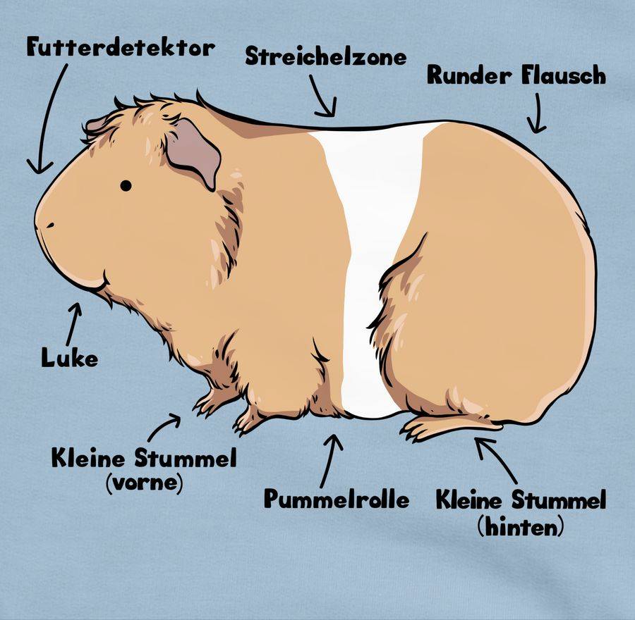 Shirtracer Meerschwein Anatomie: Tshirt Turnbeutel Shirtracer