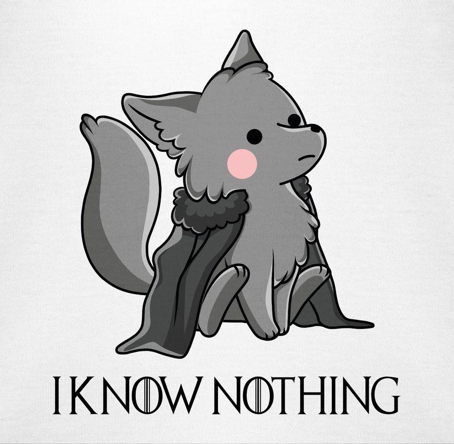 Shirtracer I Know Nothing Shirts & Mehr Shirtracer
