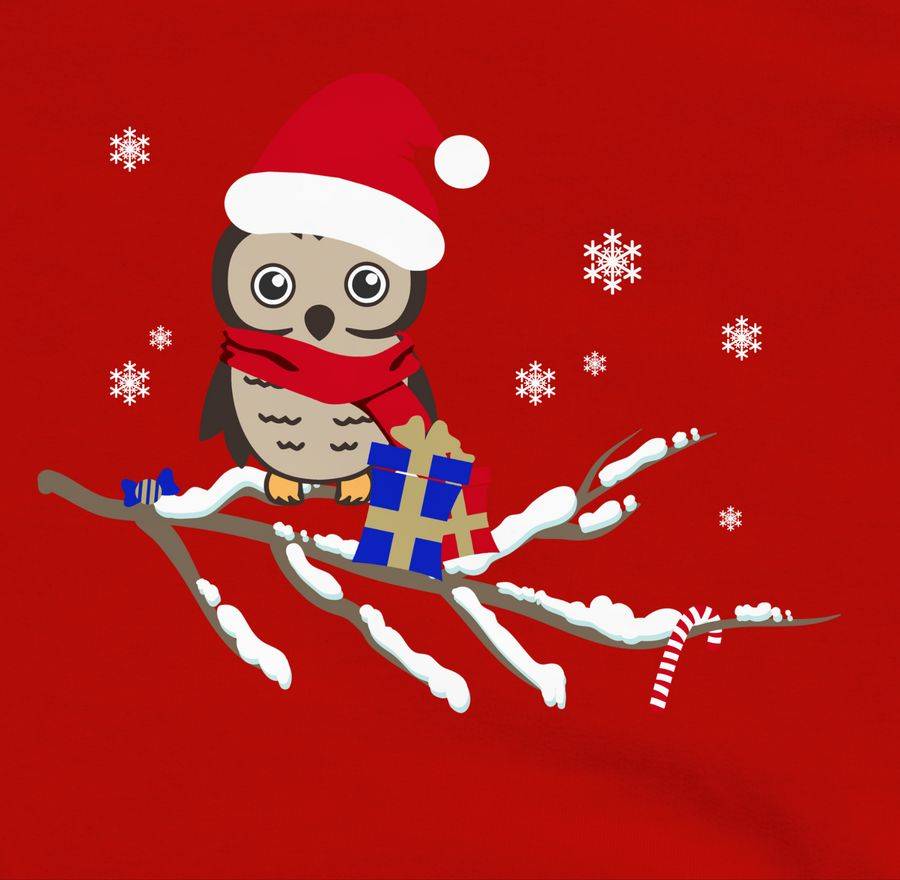 Shirtracer Weihnachtseule Eule: Tshirt Gym Bag Shirtracer