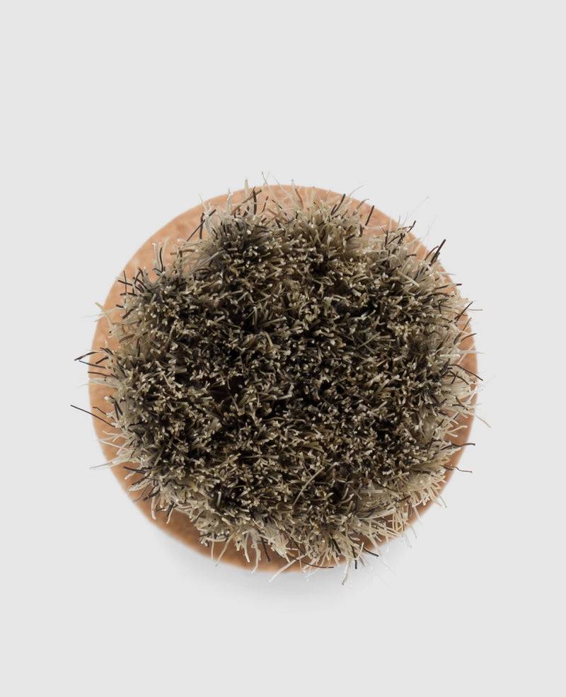 Shoepassion Auftragsbürste-Hell Für Schuhcreme Von Henry Stevens Shoepassion