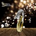 Silberdream GoldDream Gold Ring Bicolor Zirkonia Weiß Gr.56 333er Gelbgold GDR533T56