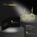 Silberdream GoldDream Ohrhänger Circle Zirkonia Weiß Ohrring 333er Gold GDO5639Y