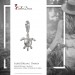 Silberdream SilberDream 925 Charm Seeschildkröte Armband Anhänger FC1002