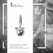 Silberdream SilberDream 925 Silber Charm Apfel Armband Anhänger FC3109