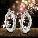 Silberdream SilberDream Creole Bambus 2,5cm 925 Sterling Silber Damen Ohrring SDO67232