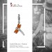 Silberdream SilberDream Glitzer Charm Libelle Orange Zirkonia Kristalle GSC534O