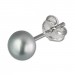 Silberdream SilberDream Ohrstecker Süßwasser Perle 5mm Grau 925er Silber SDO105K