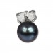 Silberdream SilberDream Ohrstecker Süßwasser Perle 5mm Schwarz 925 Silber SDO105S