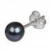 Silberdream SilberDream Ohrstecker Süßwasser Perle 5mm Schwarz 925 Silber SDO105S