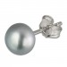 Silberdream SilberDream Ohrstecker Süßwasser Perle Grau 10mm 925 Silber SDO110K