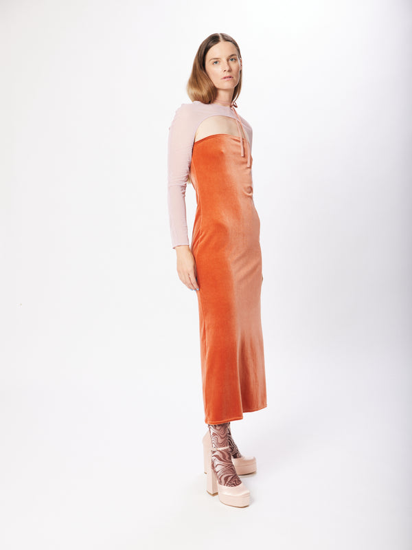 Simone Wild Velvet Dress Daisy