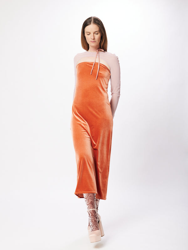 Simone Wild Velvet Dress Daisy