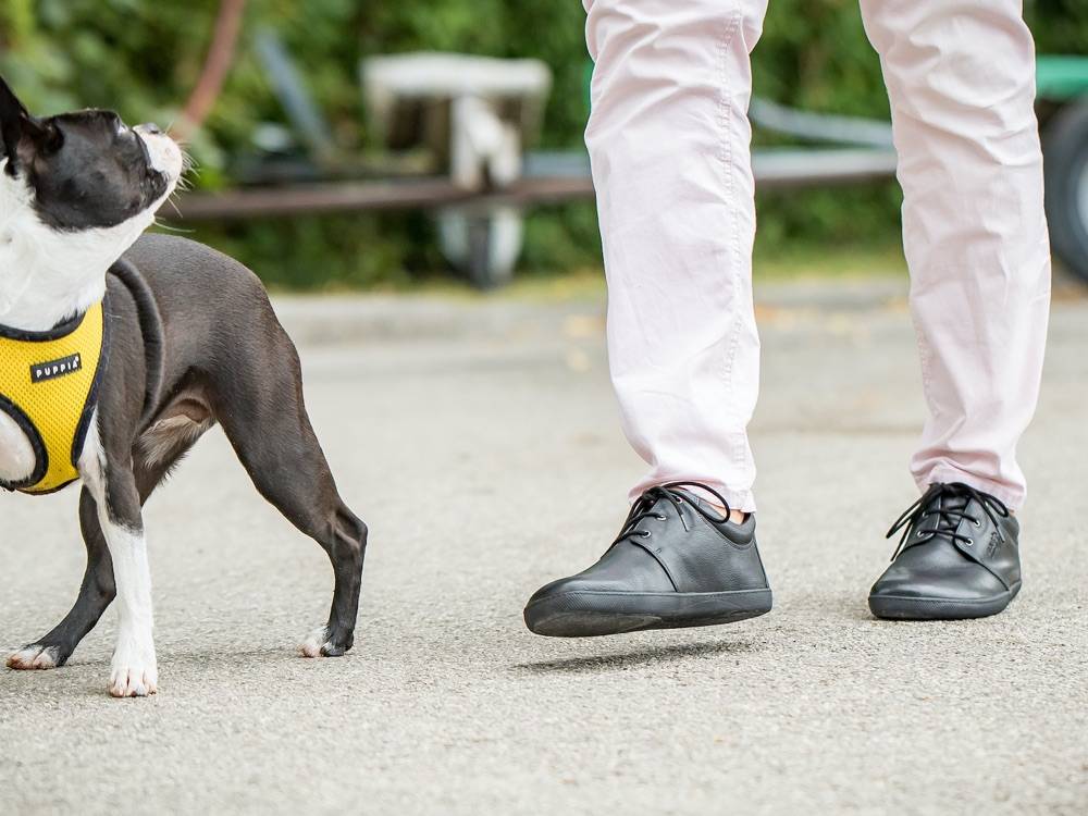 Sole Runner Pflegehinweise Für SOLE RUNNER® Barfußschuhe