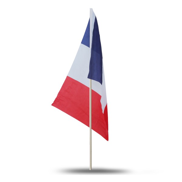 Sonia Originelli 10er Set Fahne Flagge Winkfahne "Frankreich" France Handfahne EM WM